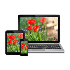 Laptop, tablet computer and smartphone with flowers on screen