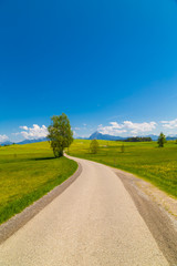 Obraz premium Strasse in Bayern im Frühling