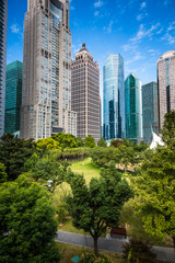 Fototapeta premium green garden in city