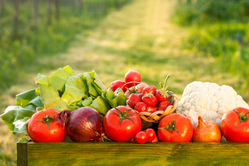 fresh organic vegetables