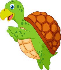 Cute turtle cartoon