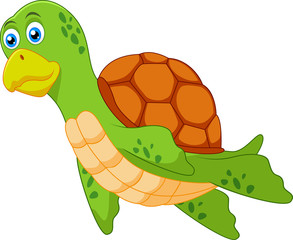 Cute turtle cartoon