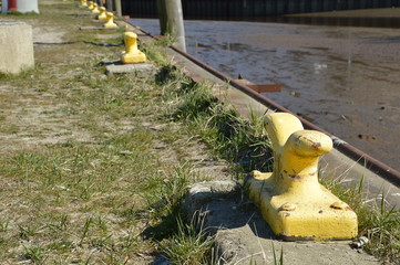 gelbe Klampen am Hafenbecken