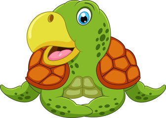 Cute turtle cartoon