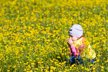 Fototapeta premium The girl collects dandelions