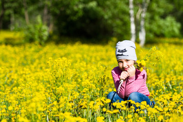 Fototapeta premium The girl collects dandelions