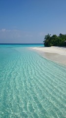 モルディブの海