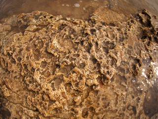 Texture of the yellow limestone