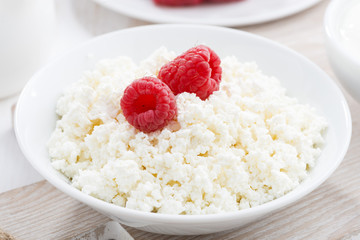 fresh homemade cottage cheese with raspberry, close-up