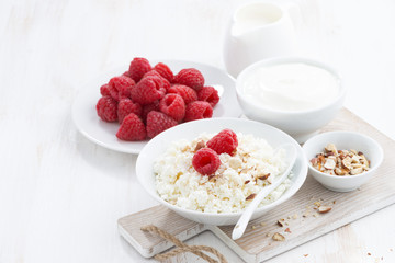 fresh homemade cottage cheese with raspberry, milk and yogurt 