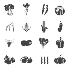 collection vegetables vector set