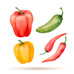 Set of watercolor vegetables.