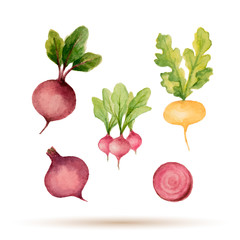 Set of watercolor vegetables.