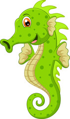 Sea horse cartoon