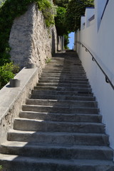 Paysages de Provence
