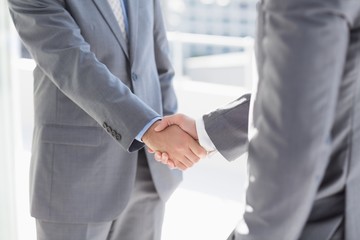 Business colleagues greeting each other