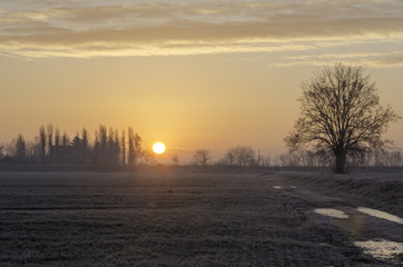 Alba in campagna