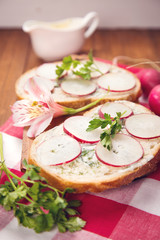 sandwich with radish