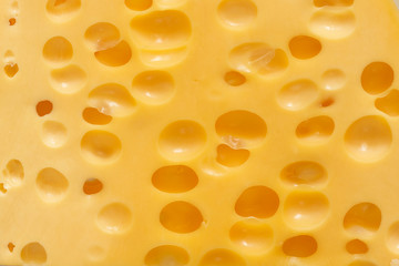 texture slice of cheese