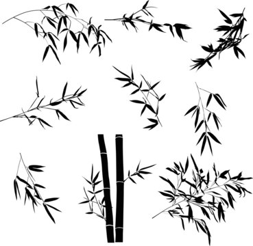 black bamboo nine branches collection set