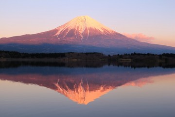 Fototapeta premium 富士山と田貫湖
