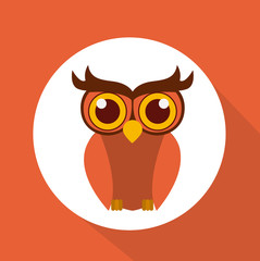 Owl design
