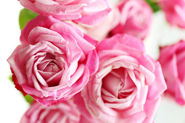 Bouquet of beautiful fresh roses, closeup