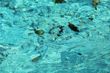 Ocean water background