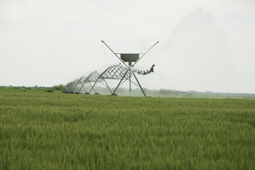 Sprinkler system crops