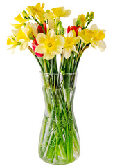 Yellow daffodils flowers in a transparent vase