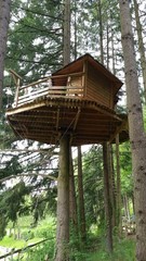 Cabane en haut d'un arbre