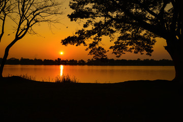 Obraz premium Beautiful sunset over lake with silhouetted of tree