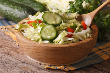 Salad of fresh cabbage and cucumber in a bowl. Horizontal
