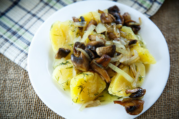 Boiled potatoes with fried mushrooms