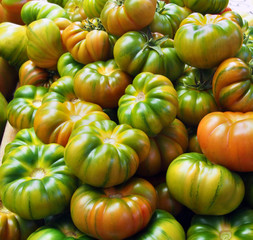 Healthy red and green tomatoes at spanish market