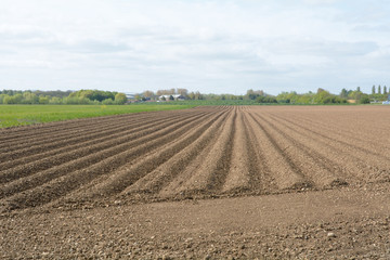 Fototapeta na wymiar Ploughed field on farm