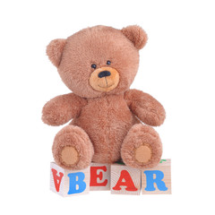 Teddy bear on wooden blocks, which were written by the bear