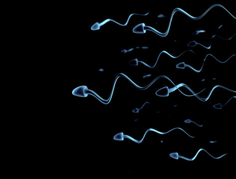 Sperm Swimming Perspective