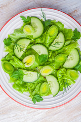 Green Salad made with lettuce, leek and cucumber