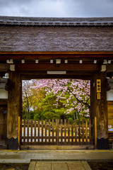 Brama świątyni © onedi