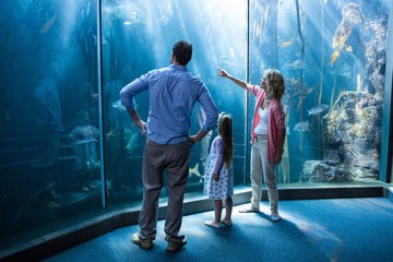 Familly looking at fish tank 