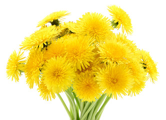 Fototapeta premium Bouquet of dandelions.