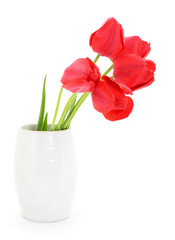 Tulips in vase.