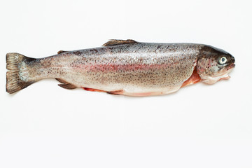 pesce fresco come trota per ristoranti