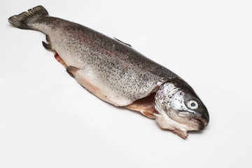 pesce fresco come trota per ristoranti