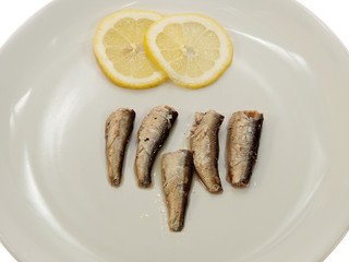 sprats
