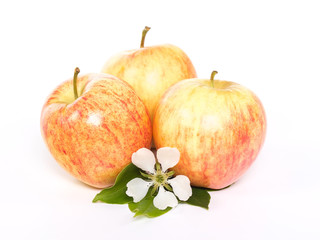 Ripe red apples fruit with flower on white