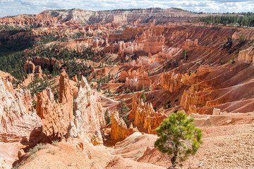 Bryce Canyon National Park - Utah USA