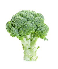 Fresh raw broccoli on a white background
