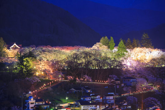 高遠城址公園桜images Browse 593 Stock Photos Vectors And Video Adobe Stock 高遠城址公園桜images Browse 593 Stock Photos Vectors And Video Adobe Stock